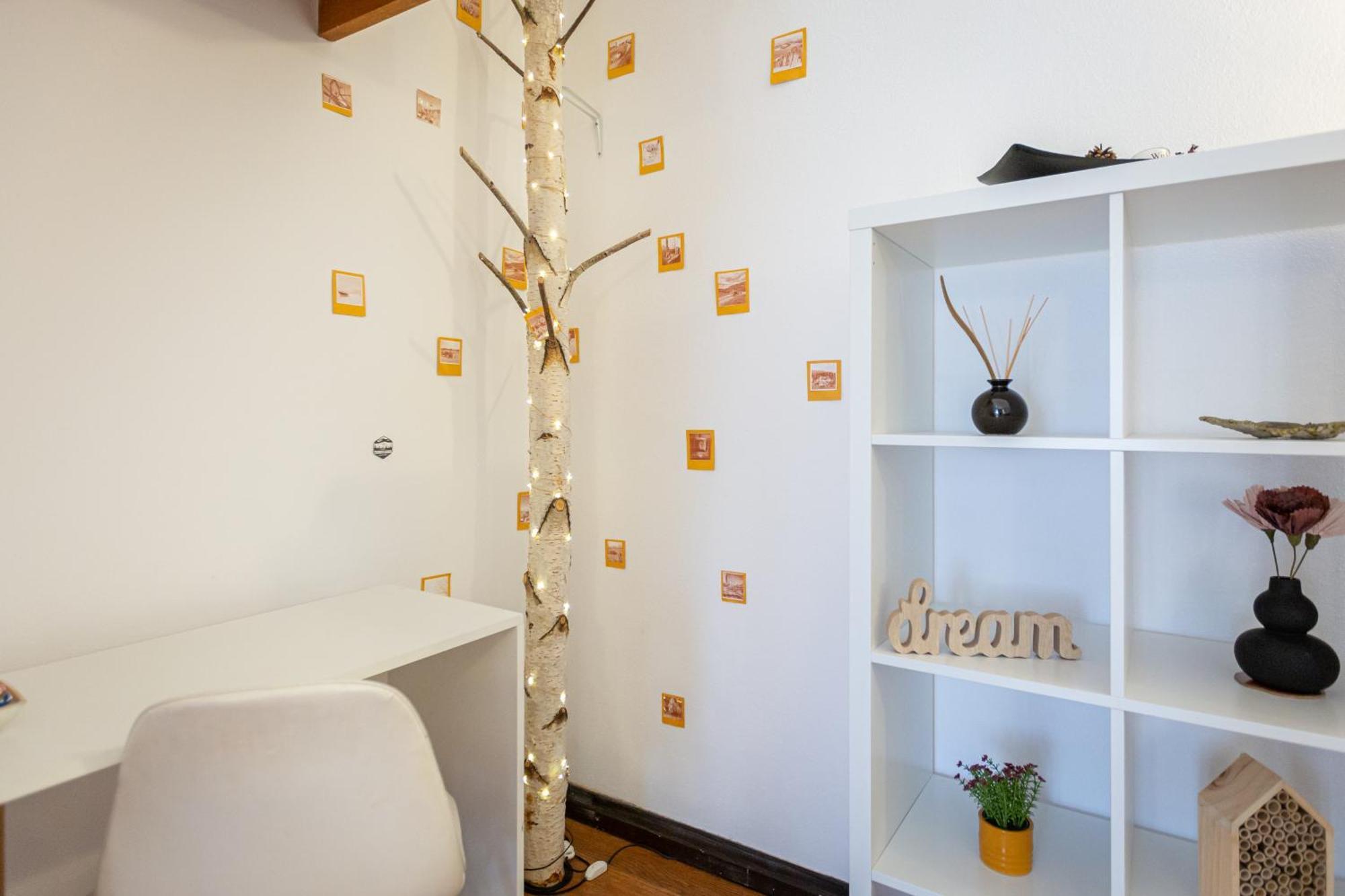 Dream Guesthouse Braşov Dış mekan fotoğraf